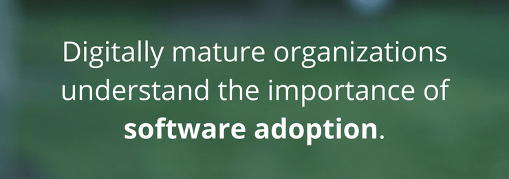 What is Digital Maturity digitally mature organizations