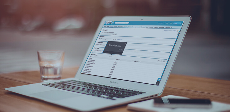 Using CRM Effectively - WalkMe salesforce training