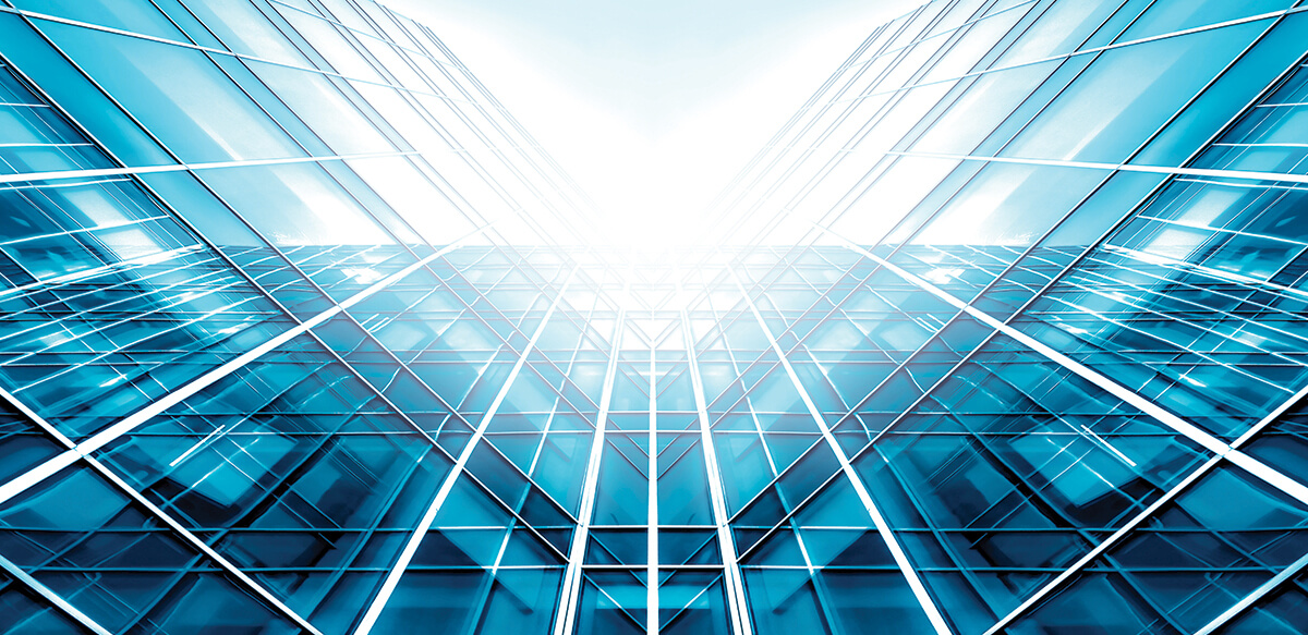 Your Organization Won’t Survive Without Digital Adoption