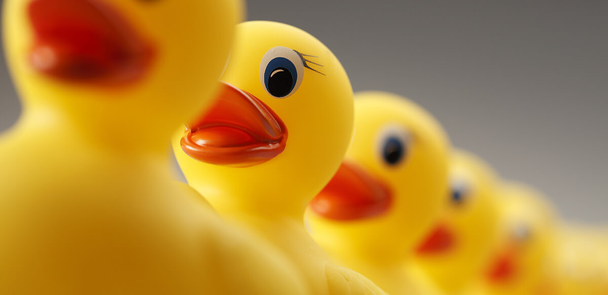 B2C vs. B2B: How the Customer Experience Definition Became Equalized