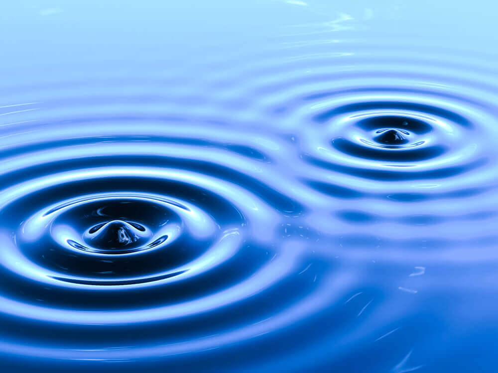 customer satisfaction