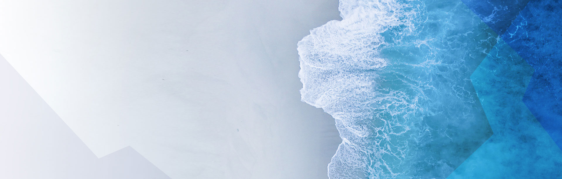 Into the Next Normal and Beyond: How a Digital Adoption Strategy Accelerates Digital Transformation