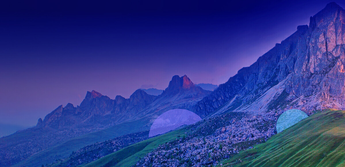 The State of Digital Adoption 2021