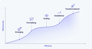 The Digital Maturity Model