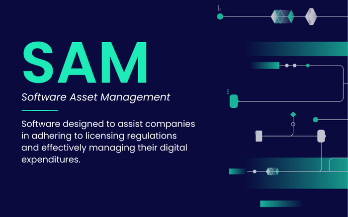 Enhancing SaaS asset management with a digital adoption platform