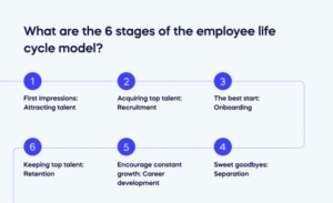 What are the 6 stages of the employee life cycle model_ 