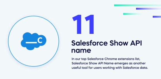 Salesforce Show API name (1)