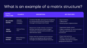 Matrix Organizational Structure: Definition, Best Practices & Examples