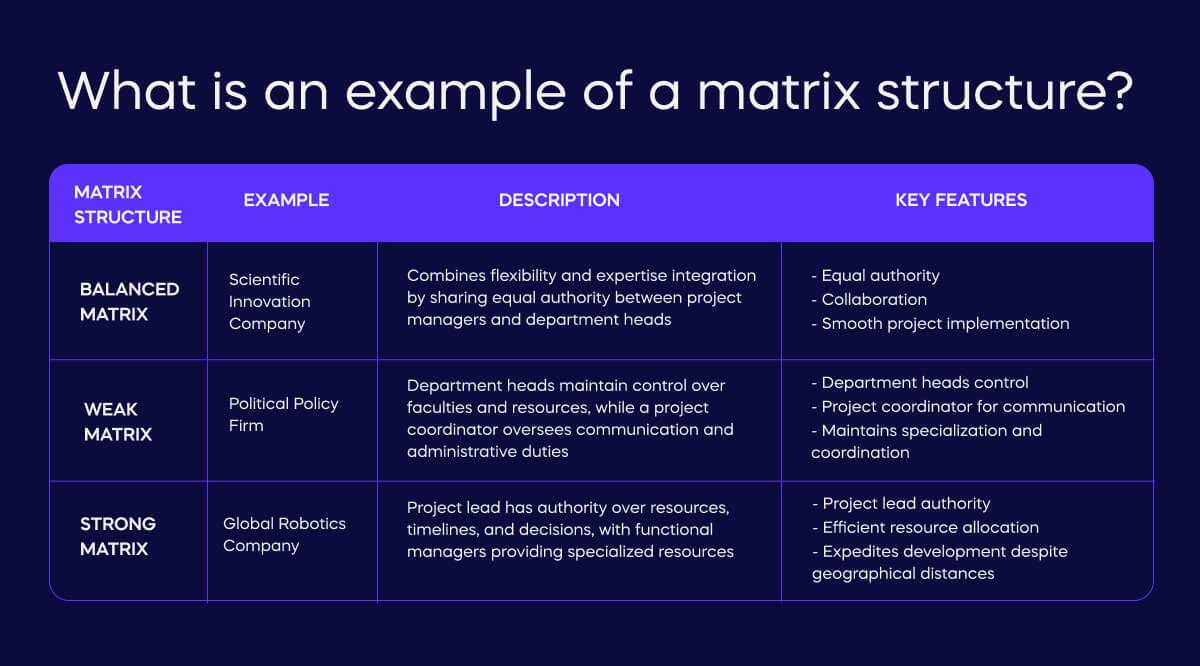 Wht Is The Matrix Matrix Organizational Structure: Definition, Best Practices & Examples