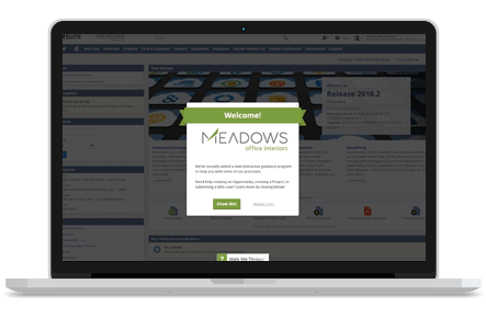 Meadows Office Interiors