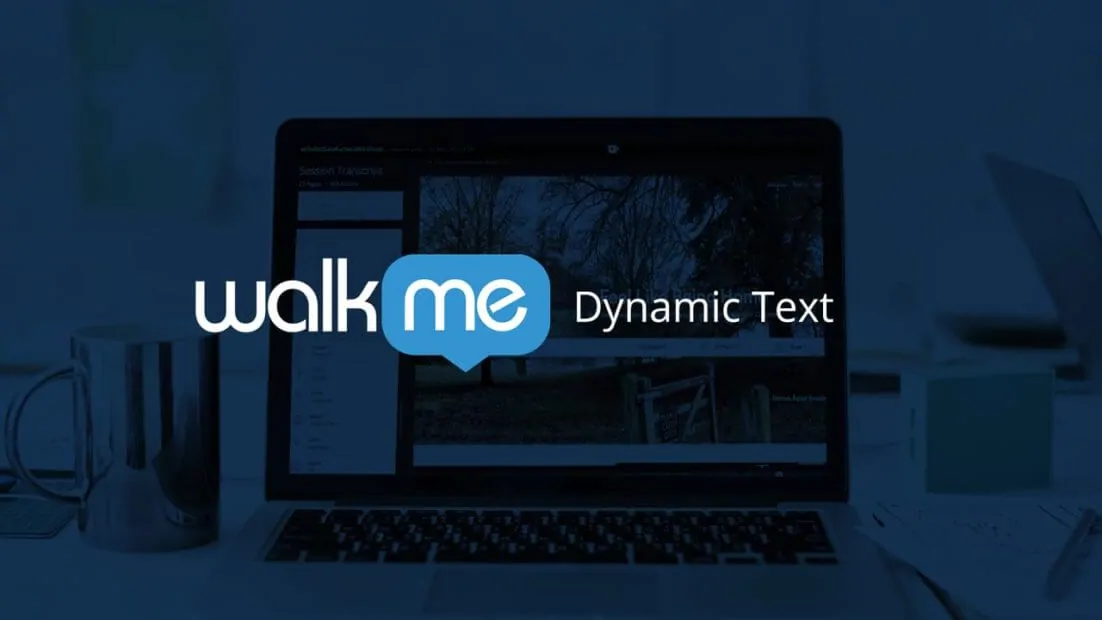 Walkme Video