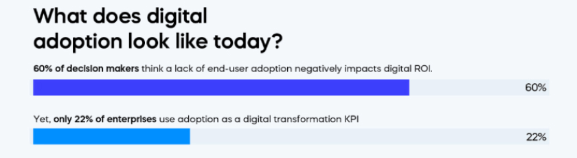 What does digital adoption look like today