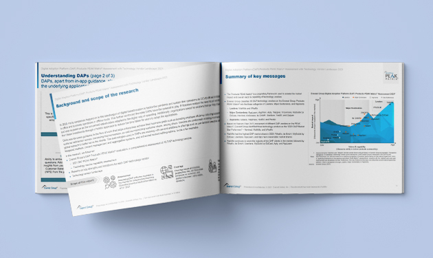 Everest DAP PEAK Matrix Assessment 2021