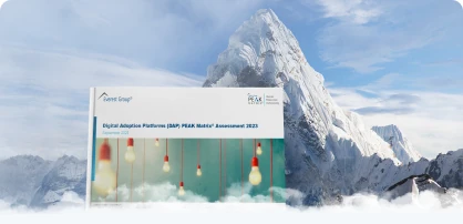 Everest Group PEAK Matrix® for Digital Adoption Platforms 2023 Thumbnail