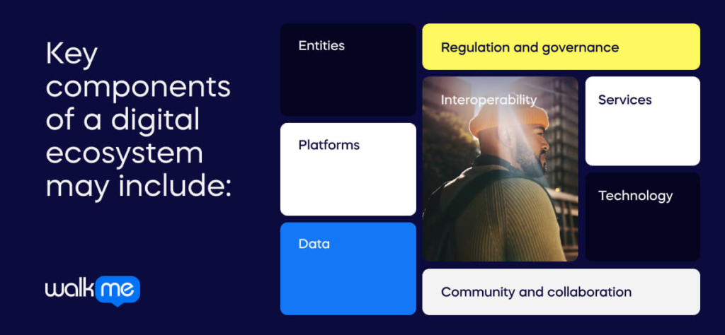 Key components of a digital ecosystem may include