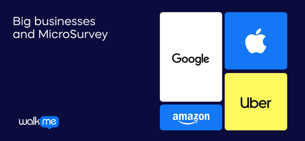 Big businesses and MicroSurvey